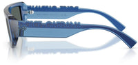 Dolce&Gabbana DG6203 sunglasses