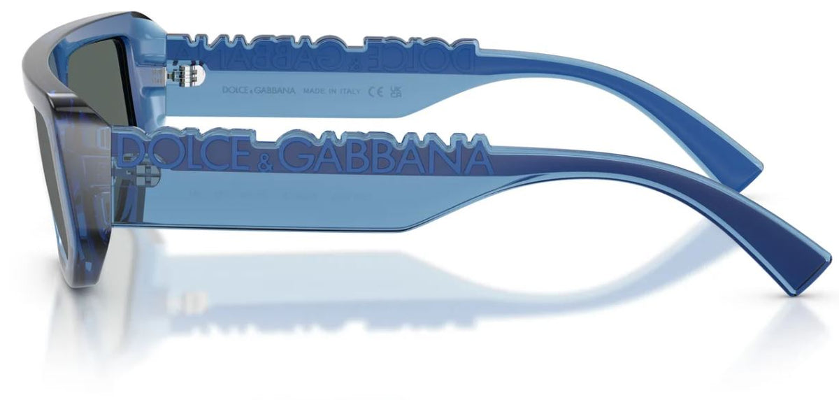 Dolce&Gabbana DG6203 sunglasses