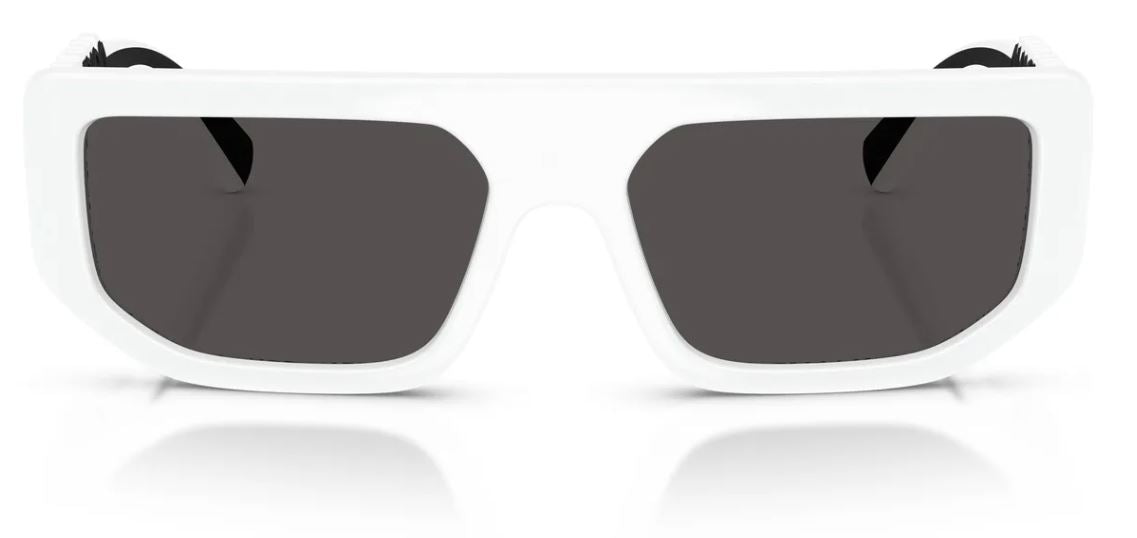 Dolce&Gabbana DG6203 sunglasses