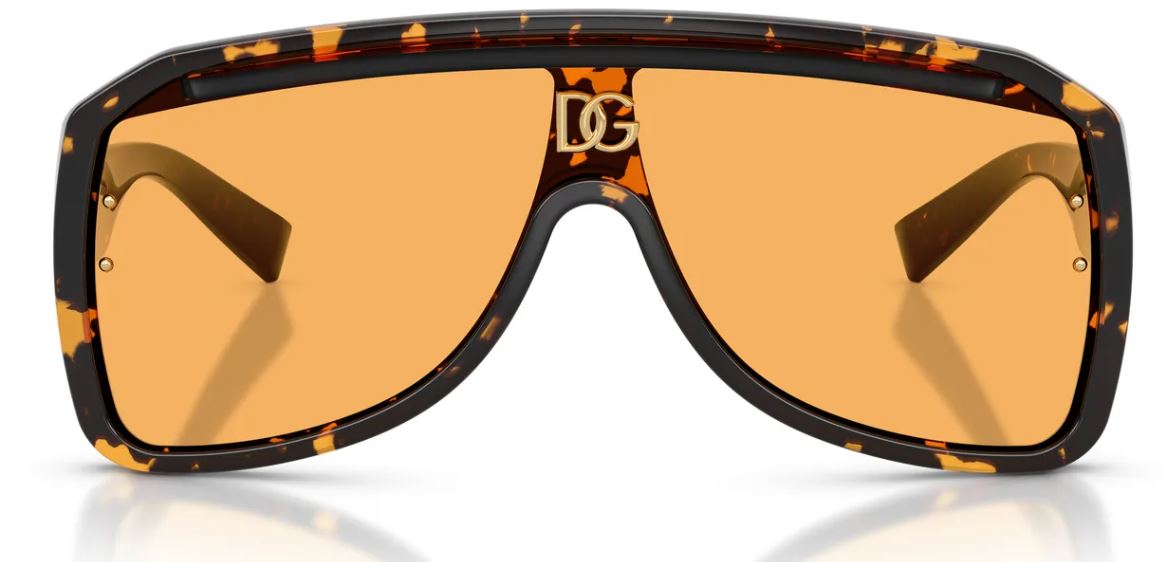 Dolce&Gabbana DG6205 sunglasses