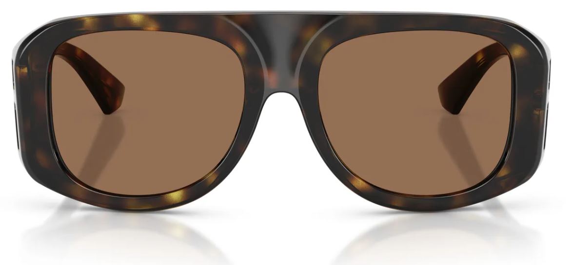 Dolce&Gabbana DG6208 sunglasses