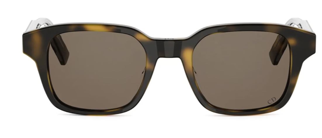 DIOR Dioribbon S1I 太陽眼鏡