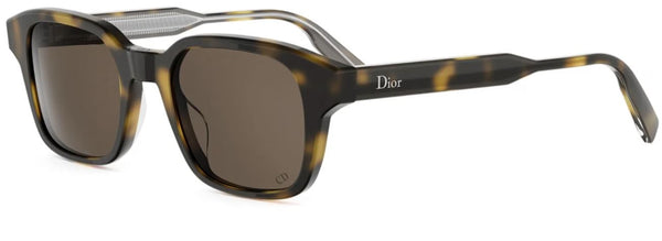DIOR Dioribbon S1I 太陽眼鏡