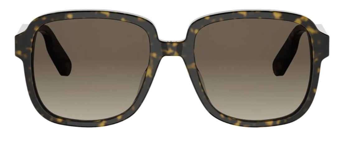 DIOR DIORIBBON S1I Sunglasses