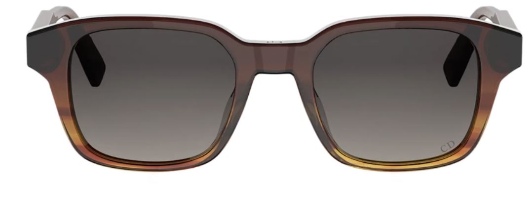 DIOR Dioribbon S1I 太陽眼鏡