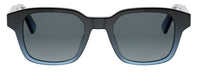 DIOR Dioribbon S1I 太陽眼鏡