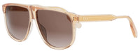 Dior DIORIBBON S3I 太阳镜
