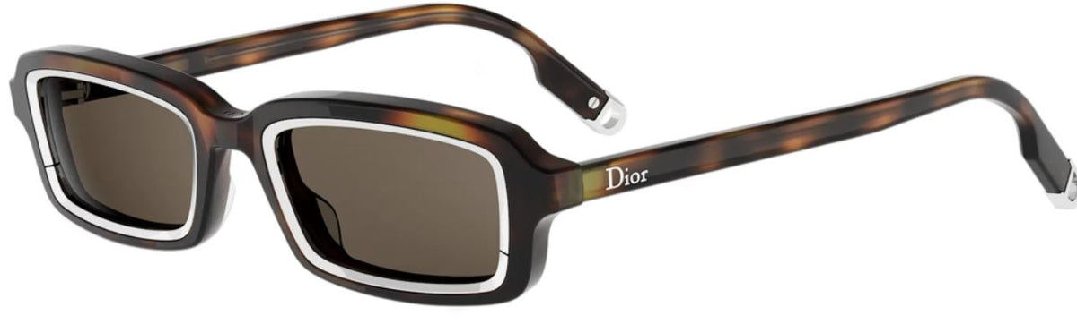 DIOR DIORSYMBOL S2I Sunglasses