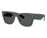 Ray-Ban RB4840S 太阳镜