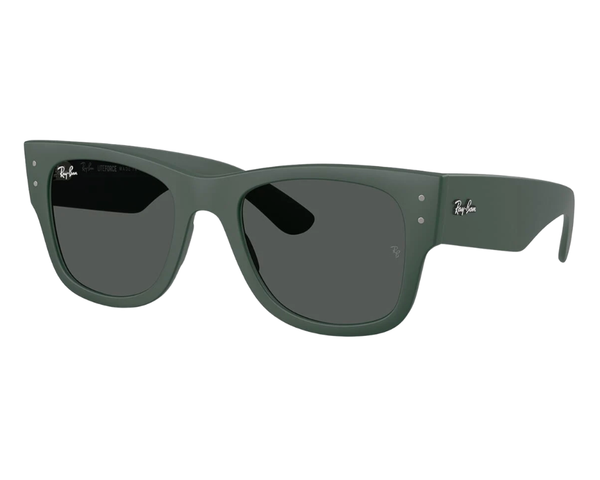 Ray-Ban RB4840S 太阳镜