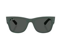 Ray-Ban RB4840S 太阳镜