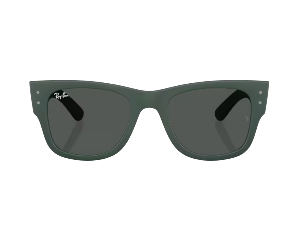 Ray-Ban RB4840S 太阳镜
