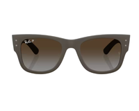Ray-Ban RB4840S 太阳镜