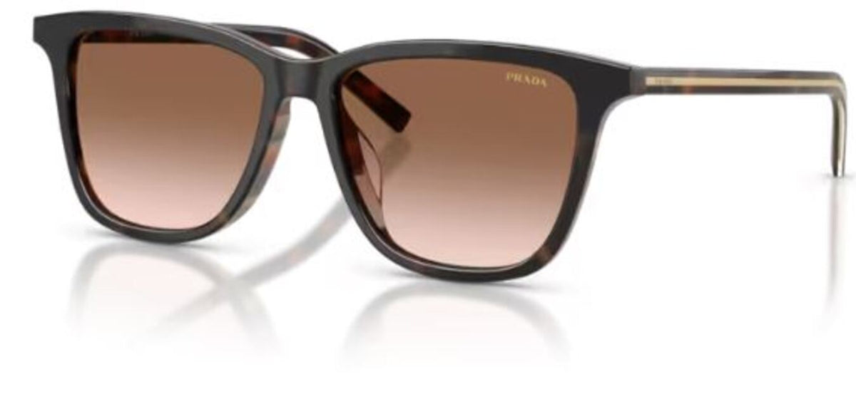 Prada PR D18SD 太阳镜