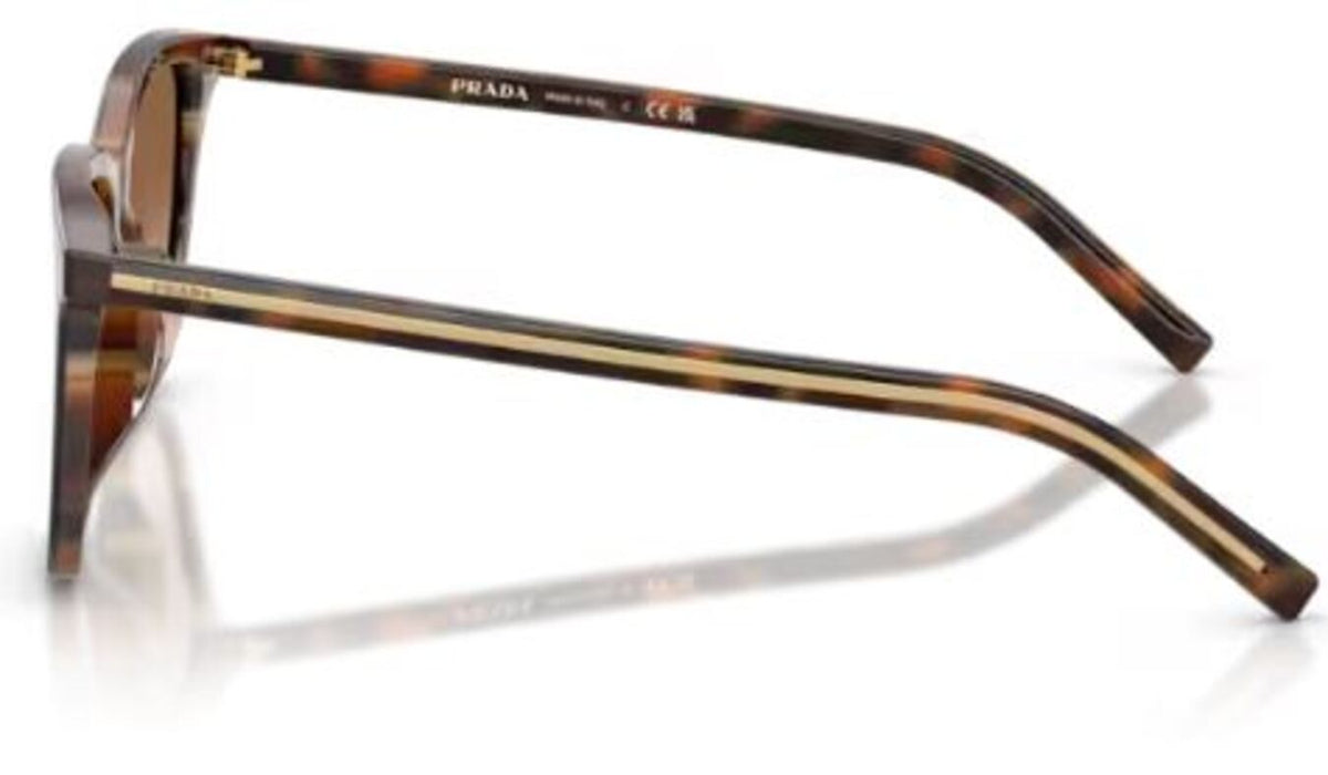 Prada PR D18SD 太阳镜
