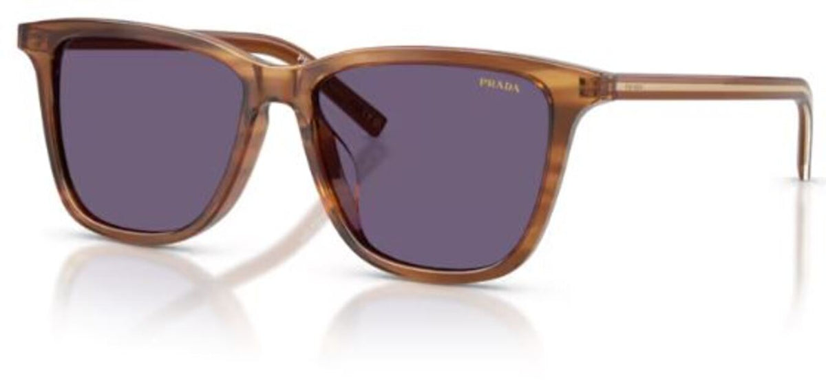Prada PR D18SD 太阳镜