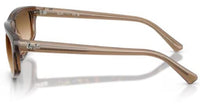 Sonnenbrille Ray-Ban RB2225