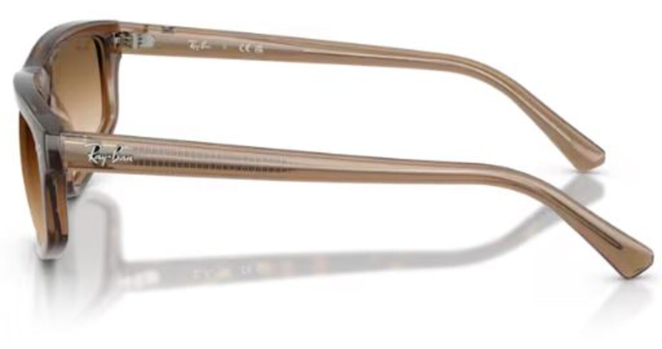 Sonnenbrille Ray-Ban RB2225