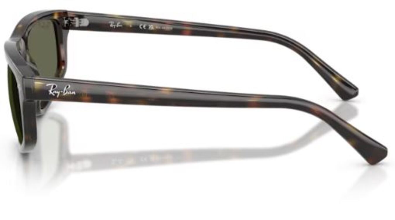 Sonnenbrille Ray-Ban RB2225
