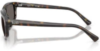 Sonnenbrille Ray-Ban RB2225