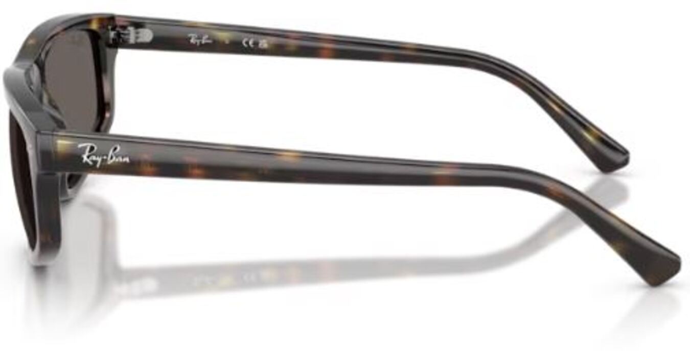 Sonnenbrille Ray-Ban RB2225