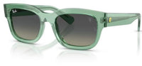 Ray-Ban RB2228M Sunglasses