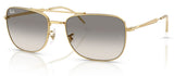 Gafas de sol Ray-Ban RB3755