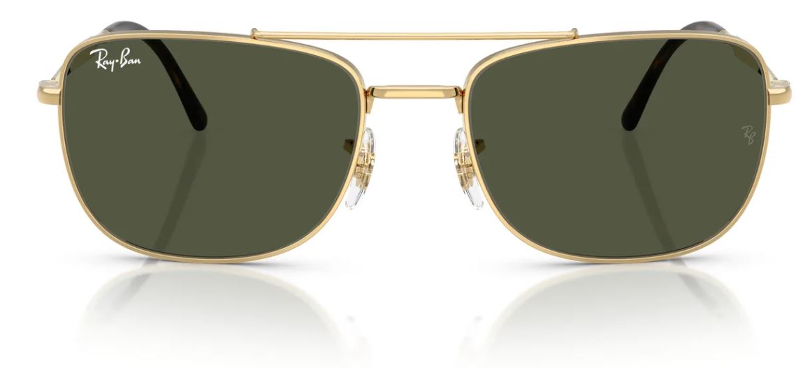 Gafas de sol Ray-Ban RB3755