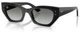 Ray-Ban RB4430 sunglasses