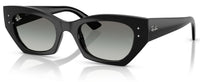 Ray-Ban RB4430 sunglasses