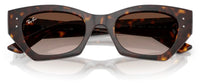 Ray-Ban RB4430 sunglasses