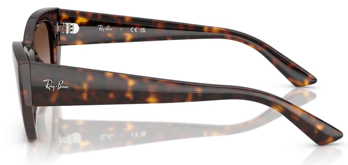 Ray-Ban RB4430 sunglasses