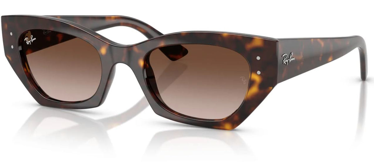 Ray-Ban RB4430 sunglasses
