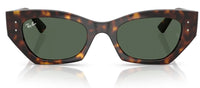 Ray-Ban RB4430 sunglasses