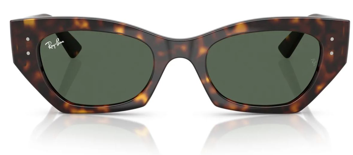 Ray-Ban RB4430 sunglasses