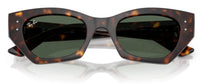 Ray-Ban RB4430 sunglasses