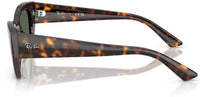Ray-Ban RB4430 sunglasses