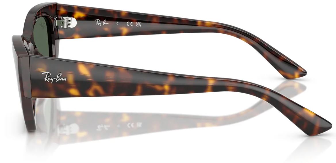 Ray-Ban RB4430 sunglasses