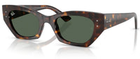 Ray-Ban RB4430 sunglasses