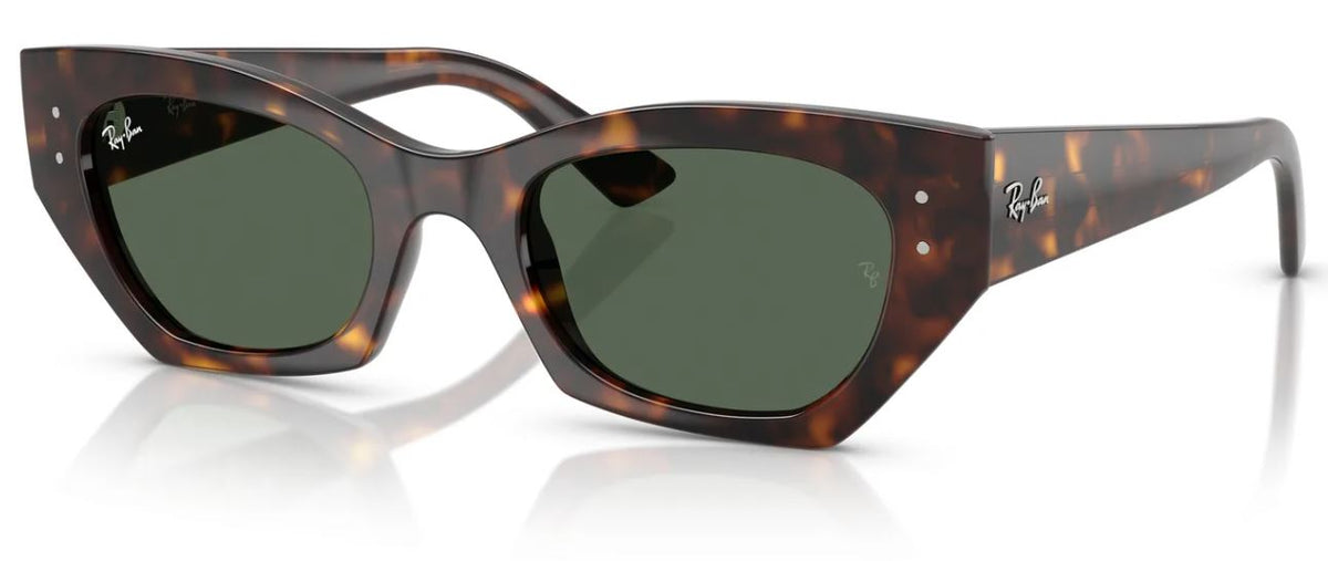 Ray-Ban RB4430 sunglasses