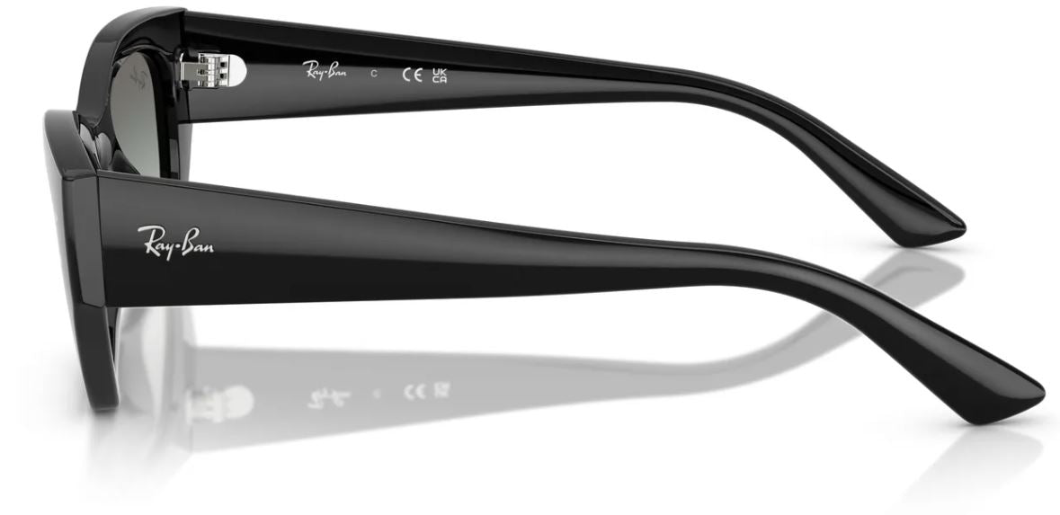 Ray-Ban RB4430 sunglasses