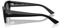 Ray-Ban RB4430 sunglasses