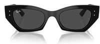 Ray-Ban RB4430 sunglasses
