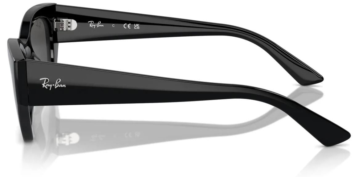 Ray-Ban RB4430 sunglasses
