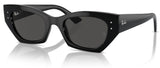 Ray-Ban RB4430 sunglasses
