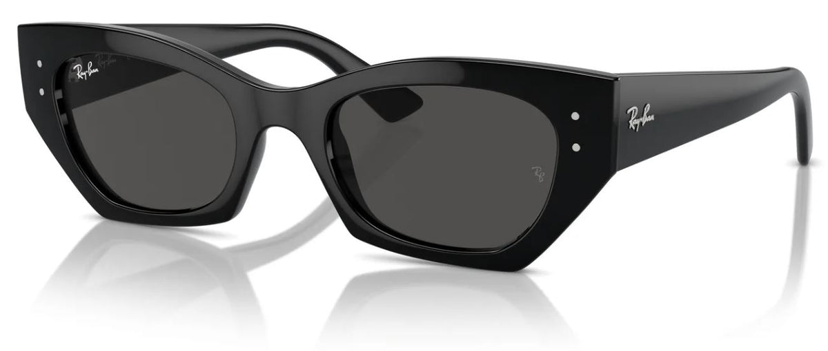 Ray-Ban RB4430 sunglasses