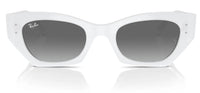 Ray-Ban RB4430 sunglasses
