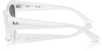 Ray-Ban RB4430 sunglasses