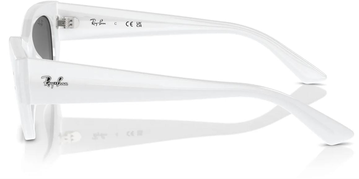 Ray-Ban RB4430 sunglasses