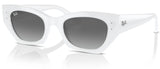 Ray-Ban RB4430 sunglasses